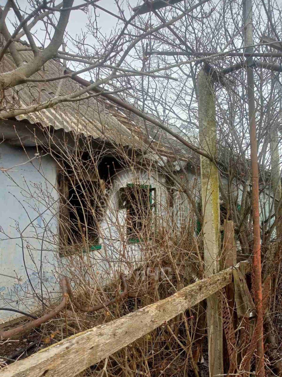 IMAGE 2026-01-11 12:32:01