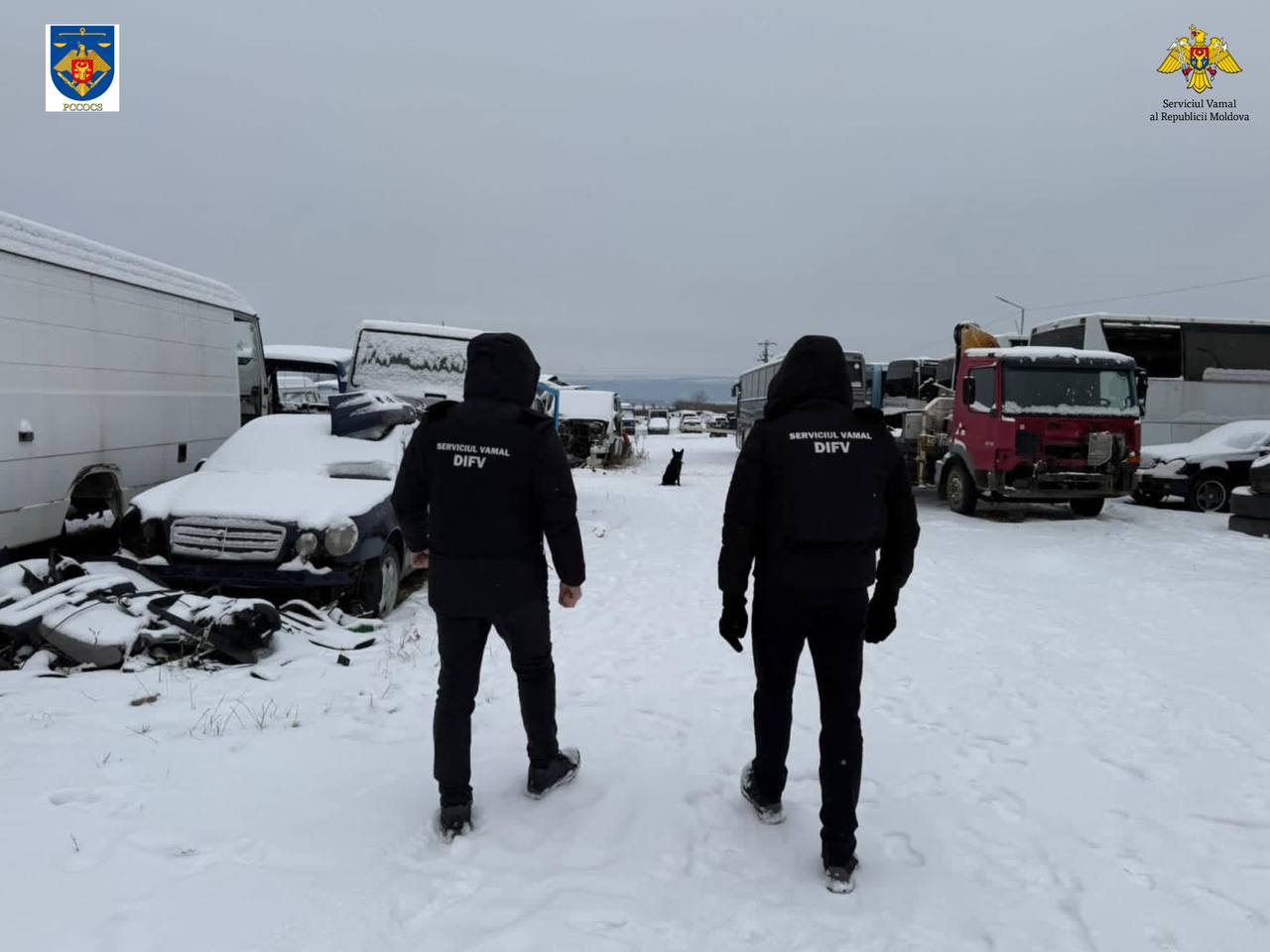 photo_2026-01-16_13-48-25