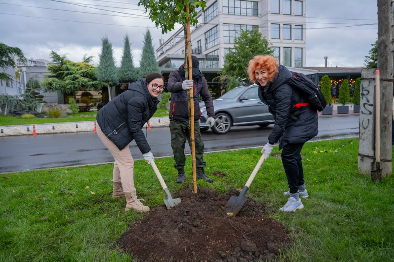 plantare5